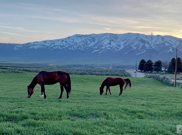 Lot A Jensen Road, Mccammon, ID 83250