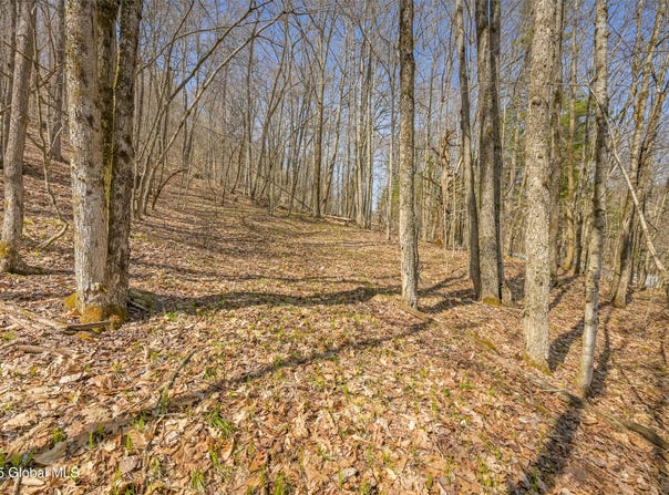 L9.114 Lutheranville Road, Summit, NY 12175
