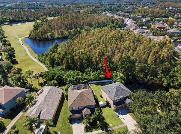 19266 FISHERMANS BEND Drive, LUTZ, FL 33558