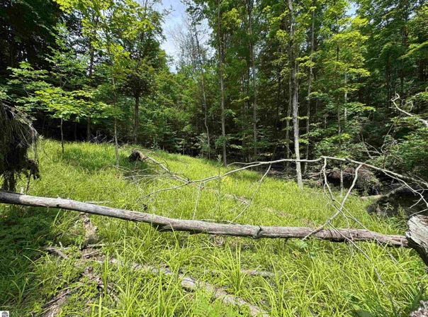 Lot #5 E Bellinger Road, Cedar, MI 49621