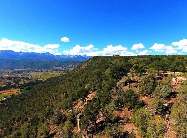Tbd Pine Drive, Ridgway, CO 81432