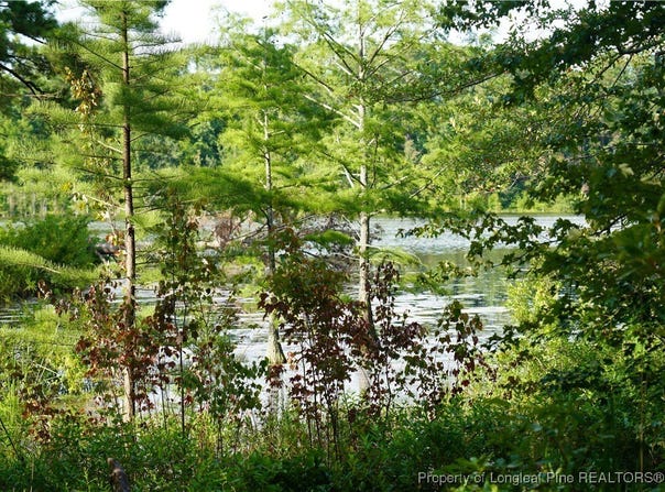 Lakeview Drive lot: 8, Red Springs, NC 28377