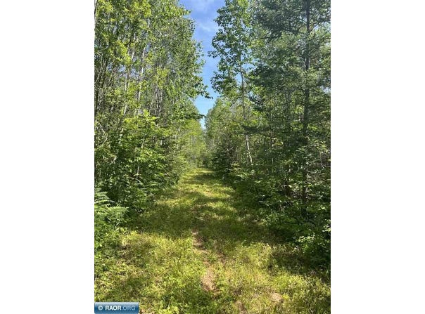1961 Town Road 118, Birchdale, MN 56629
