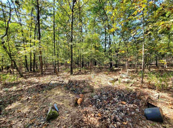 176 Double G Farm Road, Romance, AR 72136