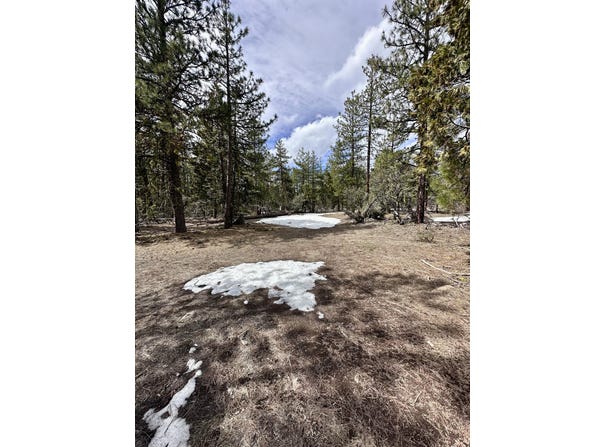 Blackbird Drive, Bonanza, OR 97623