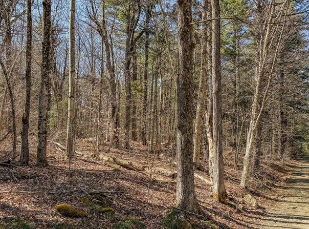 LOT16 PORCUPINE Ct, Becket, MA 01223