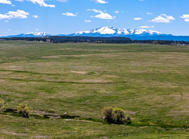 0 Hwy 83, Franktown, CO 80116