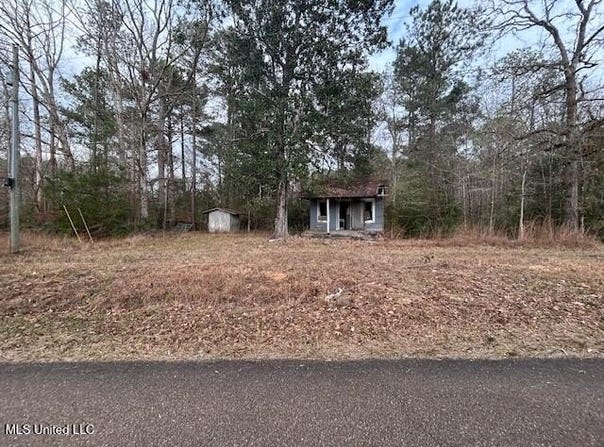 SE Pricedale Drive, Bogue Chitto, MS 39629