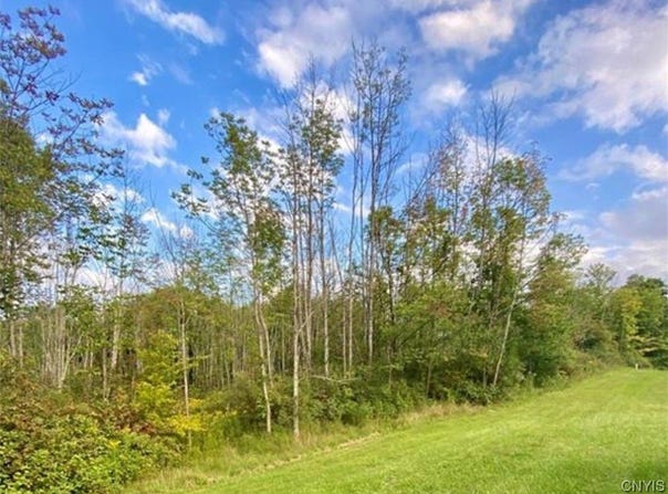 00 Trenton Road, Deerfield, NY 13502