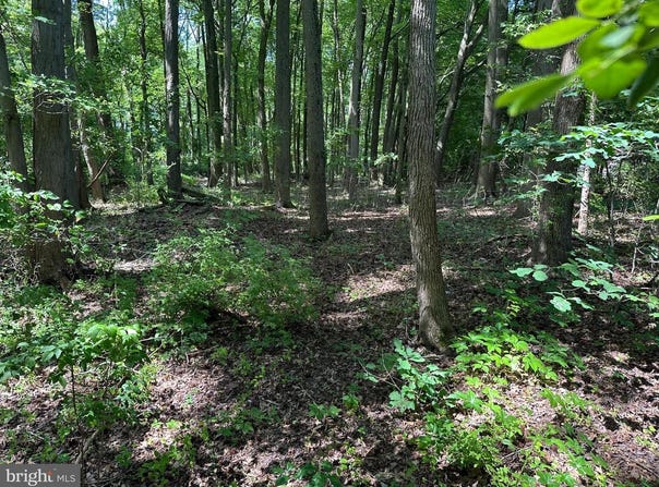 LOT 7 MAPLE DR #LOT 7, STEVENSVILLE, MD 21666