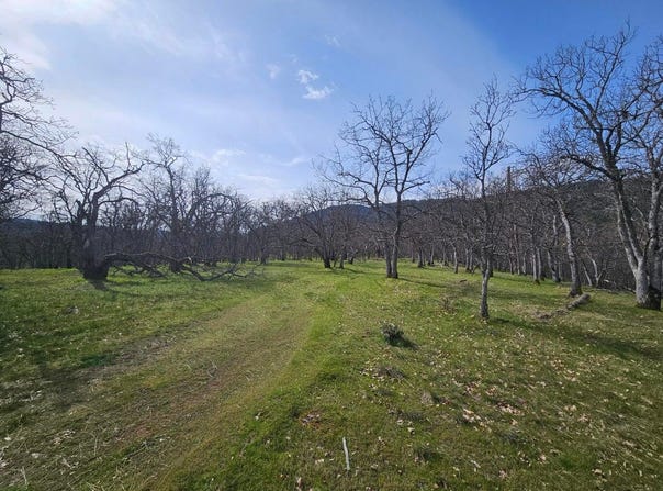 0 Hwy 66, TL 1402, Ashland, OR 97520