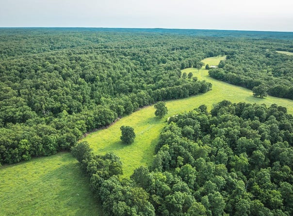 TBD Burley Ridge Rd, Cook Station, MO 65449