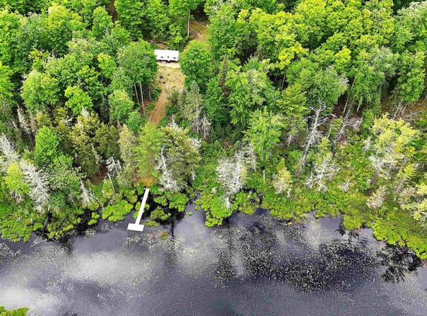 Floating Bear Trail, Champion, MI 49814