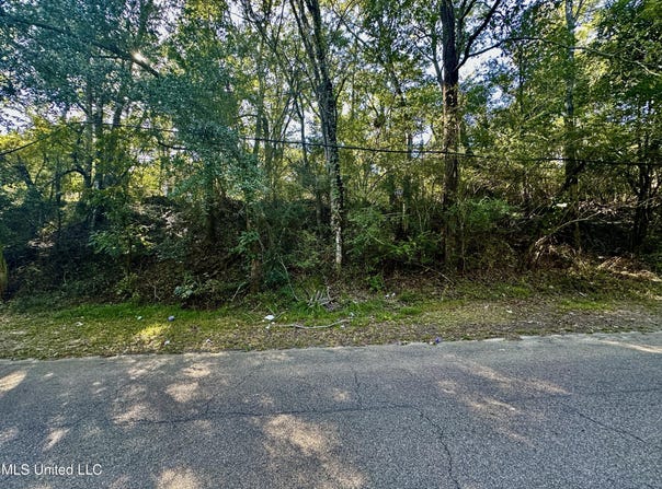Vernon Road, Clinton, MS 39056