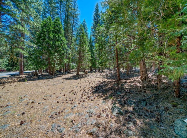 43 Tolowa Trail, Graeagle, CA 96103