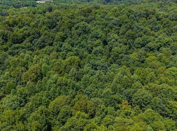 Bell Hollow Road lot: 14, Cannelton, IN 47520