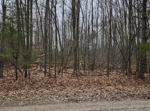 45 Scott Road, Greenbush, MI 48738