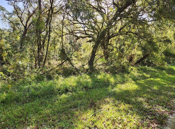 TABLE ROCK Drive, WEBSTER, FL 33597