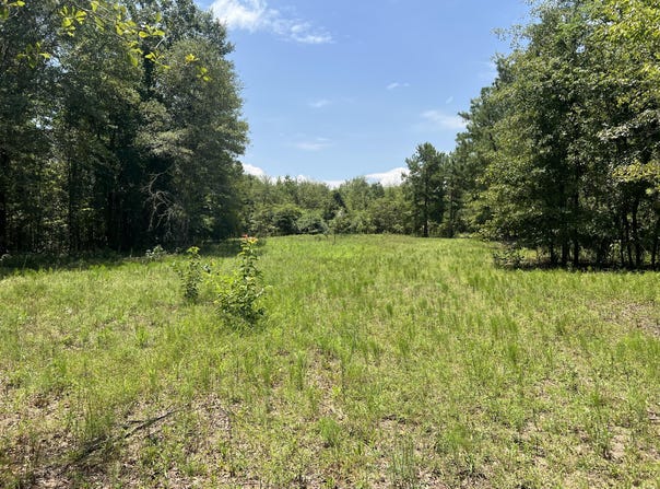 0 Gough Road, Louisville, GA 30434