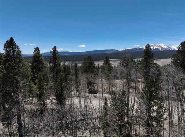 0 BEAVER RIDGE ROAD, Fairplay, CO 80440
