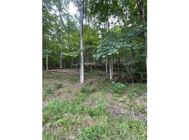 Lot 5 Moore Road, Lavalette, WV 25535