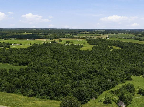 Sadler Road, Leitchfield, KY 42754