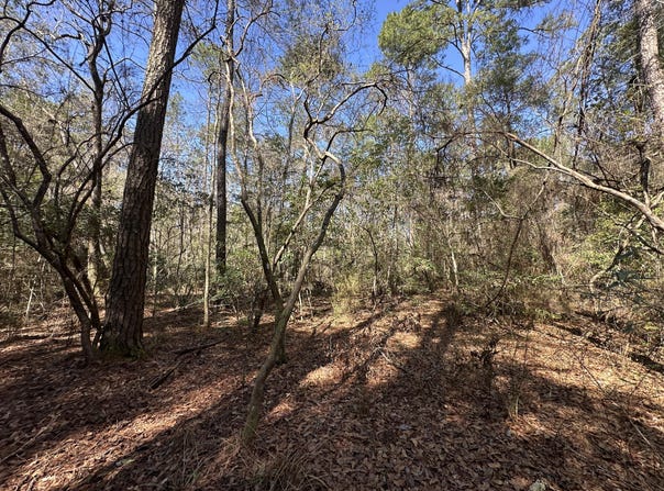 Lots 12,15,16, Coon Bottom Est, Ponce De Leon, FL 32455