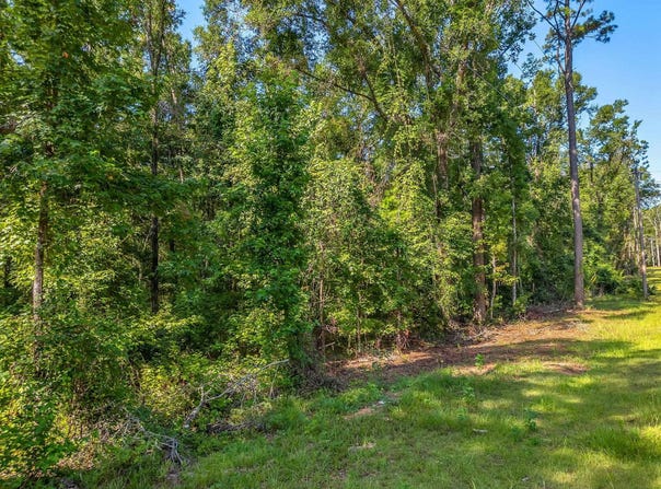 635 Quail Lane, Monticello, FL 32344