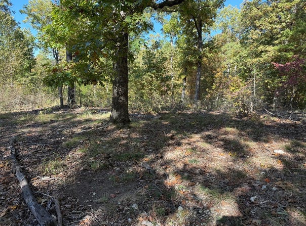 0 Highway 115, Cave City, AR 72521