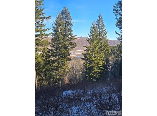 Tbd Long Valley Road, Firth, ID 83236