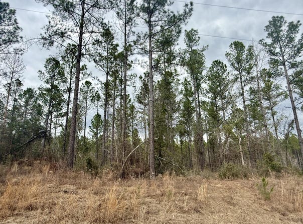 49 Stuart, Sumrall, MS 39482