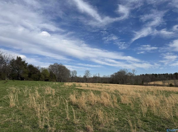 39 Acres County Road 71, Lexington, AL 35648