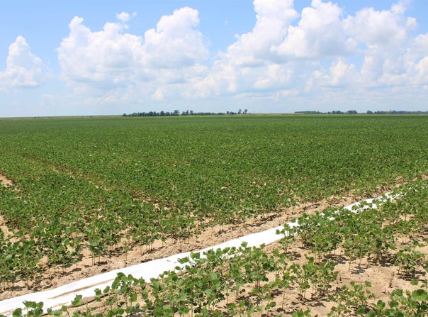 Marvell, AR 72366-0000