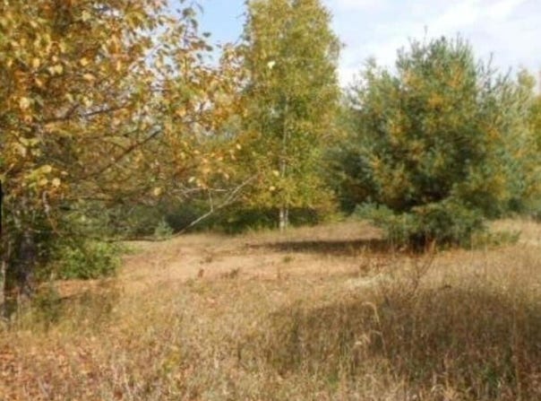 00 Pueblo Trail, Evart, MI 49631
