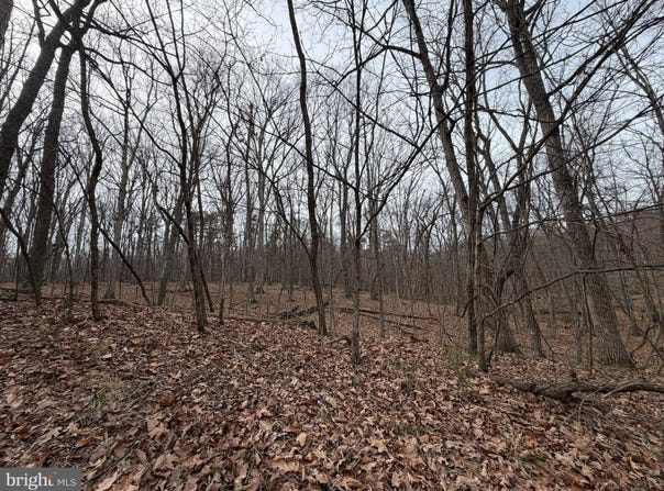 LOGGER Drive lot: 82, GORE, VA 22637