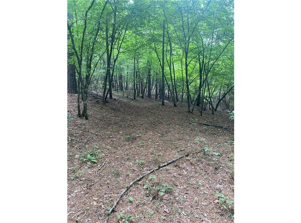 TBD CR 5211, Oark, AR 72852