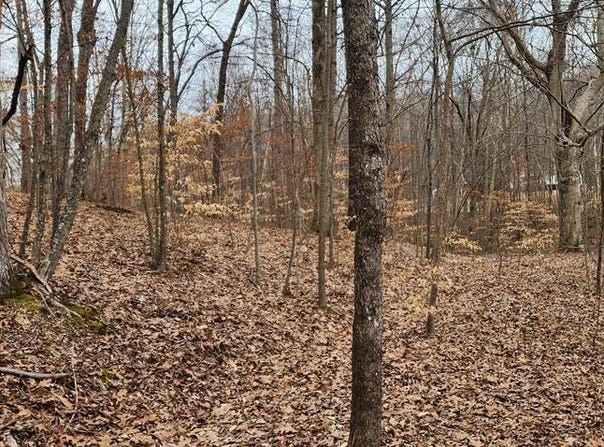 Saddletree Rd, CAMDEN, TN 38320