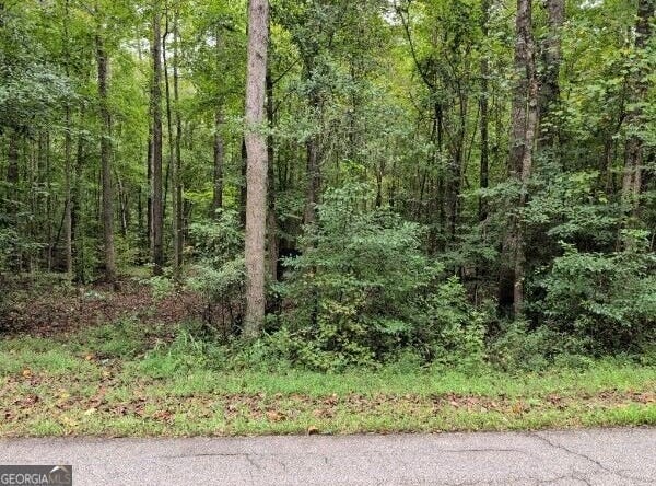 194 Tahoe Trail, Martin, GA 30557