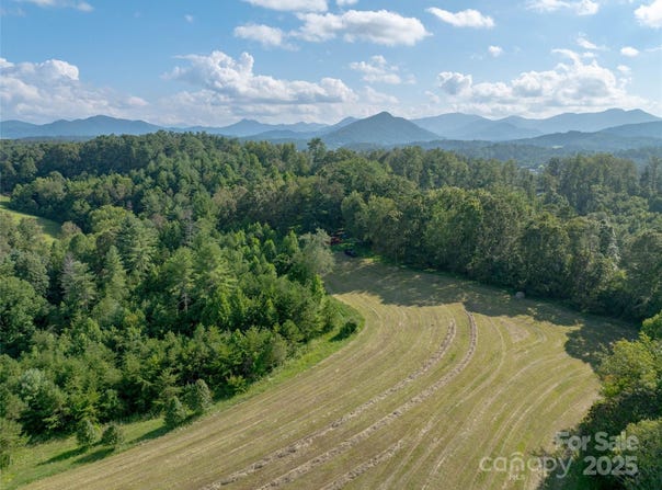 99999 Bob Wright Hill Road, Leicester, NC 28748