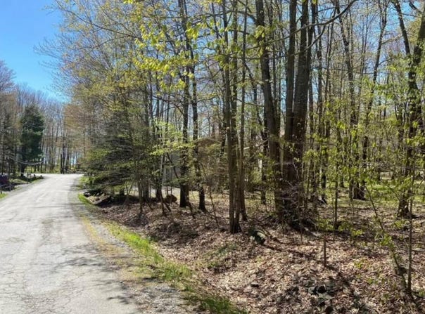 5 Skippack Trl 5 Trail, Pocono Lake, PA 18347