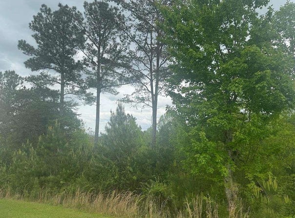 L231 Ridge Point Way, Blairsville, GA 30512