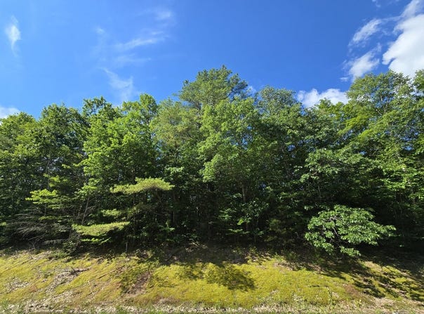 Temple Road lot: 67-A, Temple, ME 04984