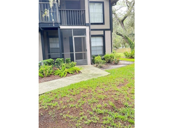 4033 DREAM OAK Place, TAMPA, FL 33613