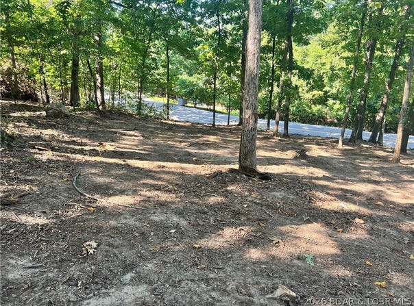 Willow Ridge Road lot: 31, Lake Ozark, MO 65049