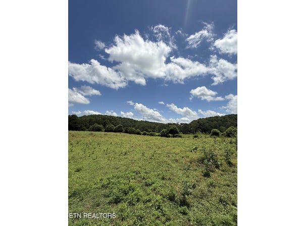 0 Newman Lane, Blaine, TN 37709