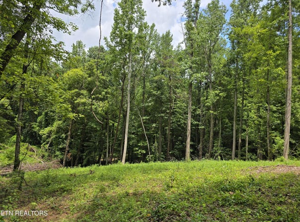 278 Norman Rd, Powell, TN 37849