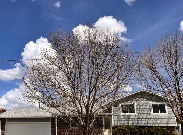 1647 Countryside Ln, Alliance, NE 69301