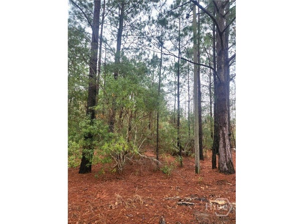 351 Poplar, Pembroke, GA 31321