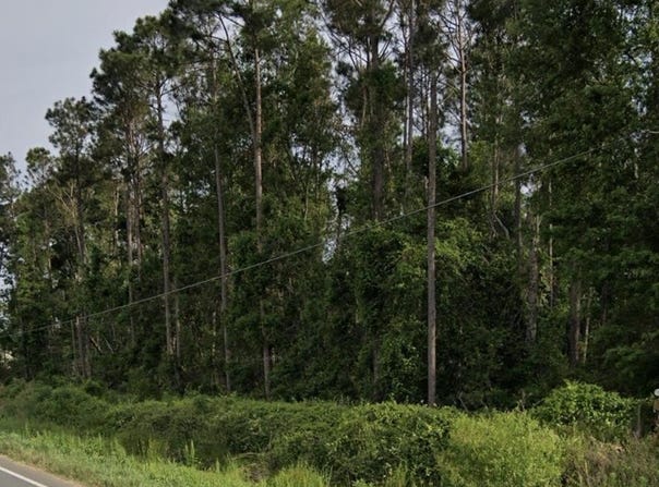 Ambrose Rd, Ambrose, GA 31512