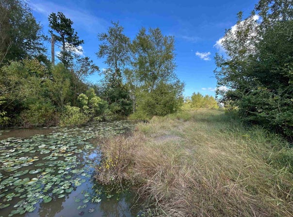 Polk Road 178, Mena, AR 71953